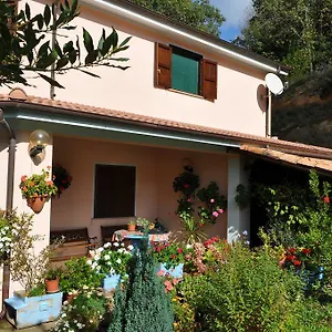 Mattalè , Tonara Italia